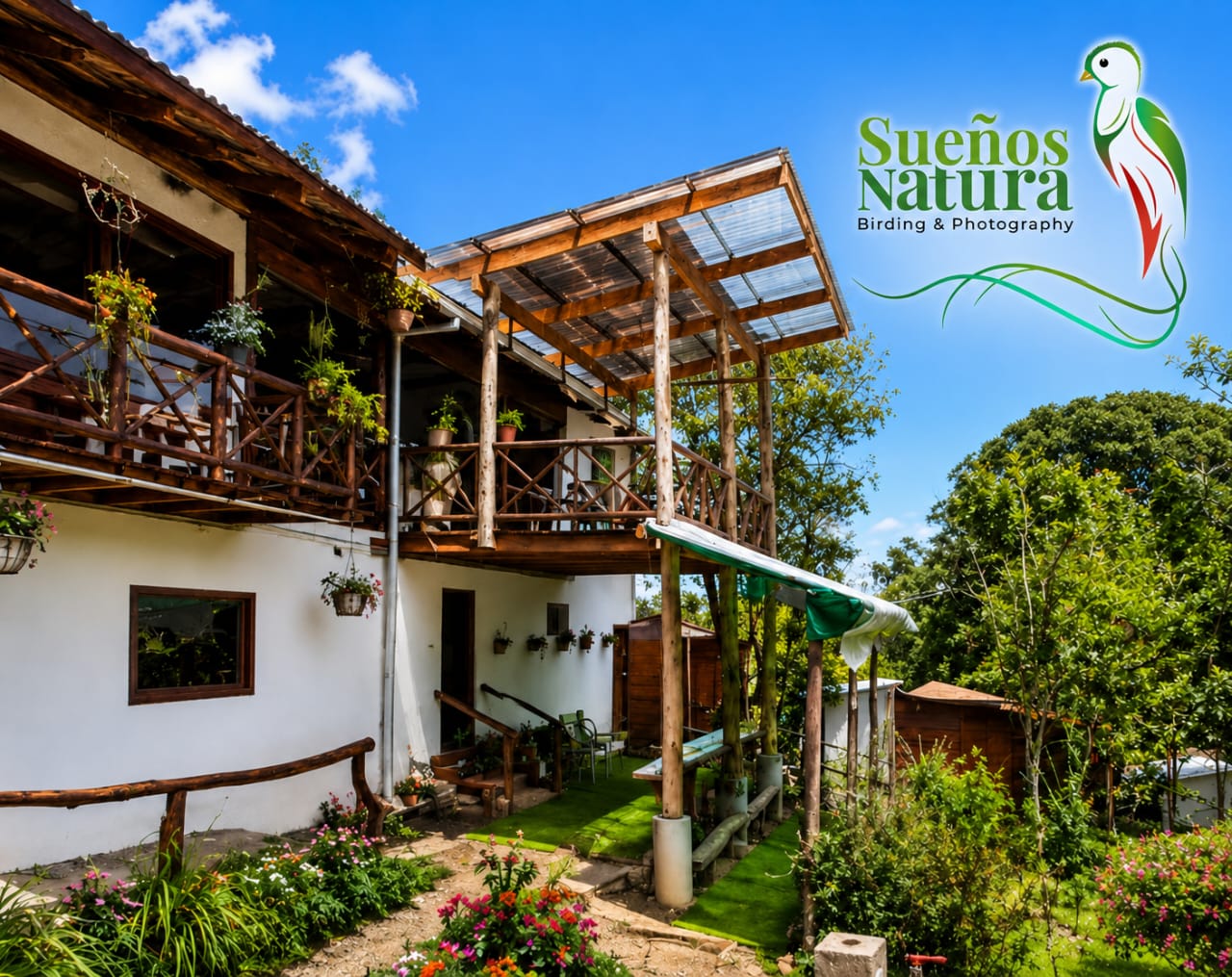 1 DAY SUEÑOS NATURA