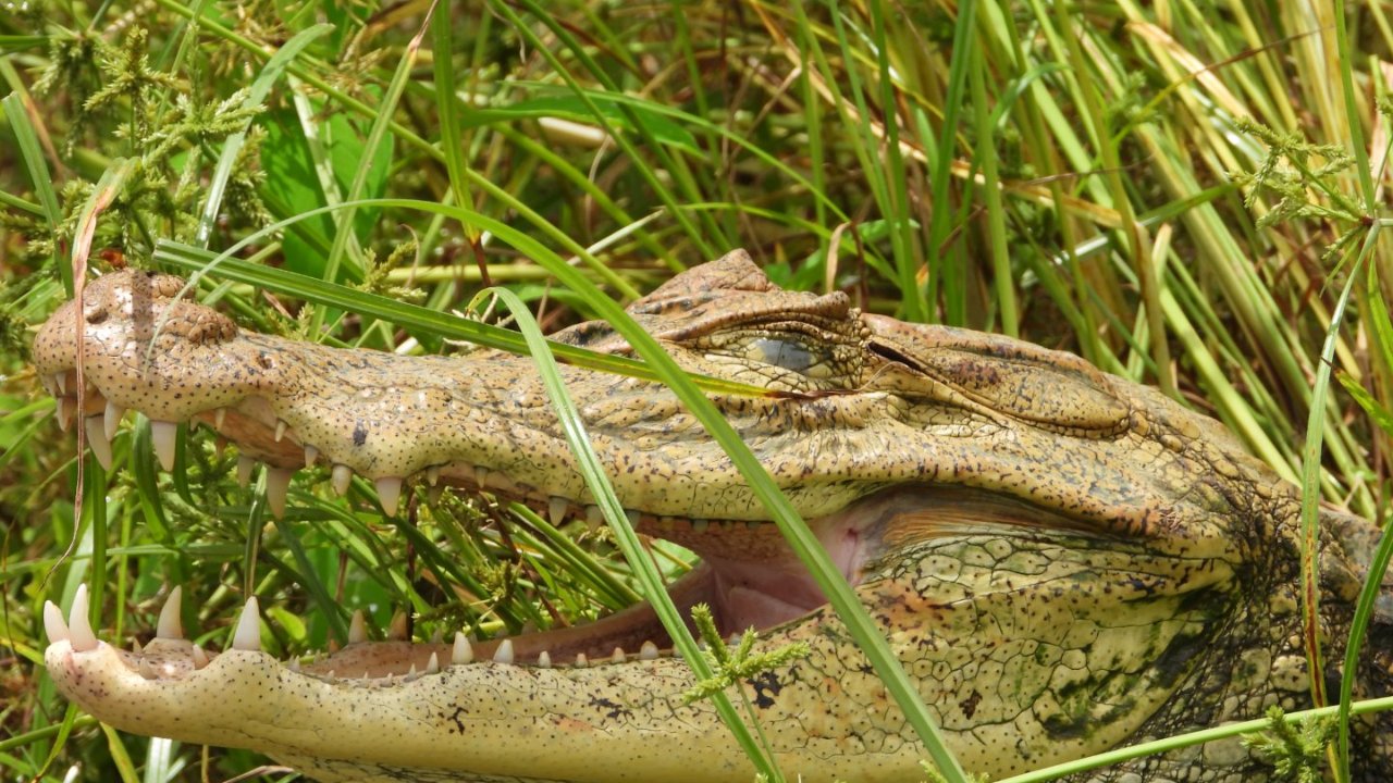 Ecological Boat Tour