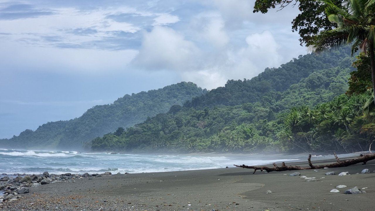 La Leona Day Tour – Corcovado National Park